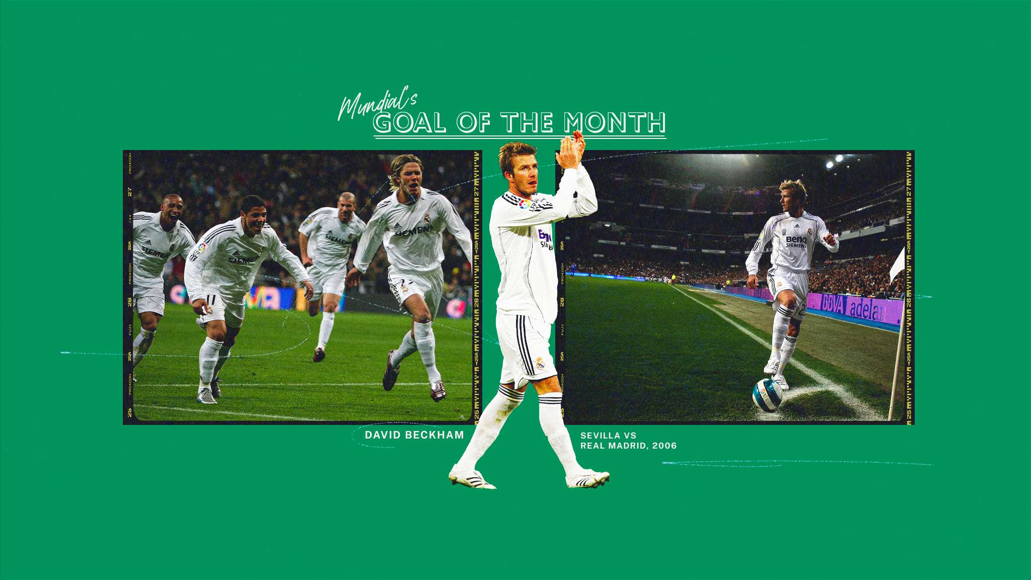 荷甲球队费 荷甲球队费